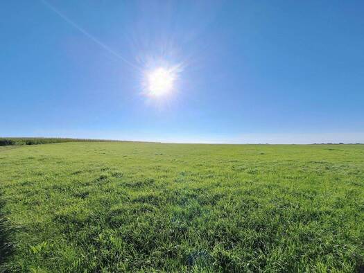 Land-/Forstwirtschaft zum Kauf 760.000 € 40.000 m² Grundstück Vogtareuth 83569