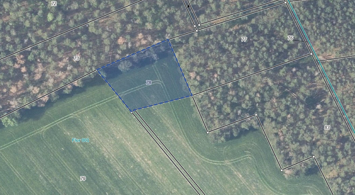 Landwirtschaftliche Fläche zum Kauf 2.644 m²<br/>Fläche Langengrassau Heideblick 15926