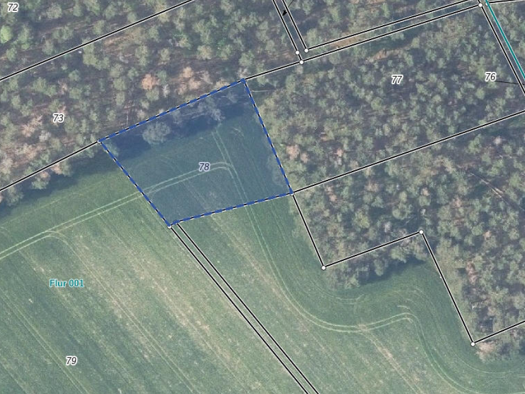Landwirtschaftliche Fläche zum Kauf 2.644 m² Langengrassau Heideblick 15926