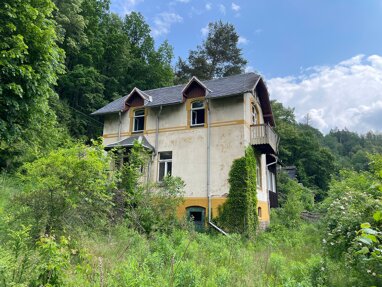 Villa zum Kauf Provisionsfrei 99.000 € 5 Zimmer 140 m² 2.800 m² Grundstück An der Schlösselmühle 11 Wilischthal Amtsberg 09439