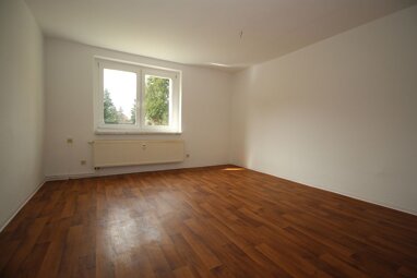 Wohnung zur Miete 313,20 € 3 Zimmer 58 m² Erdgeschoss Am Park 3 Mehltheuer Rosenbach/Vogtland 08539