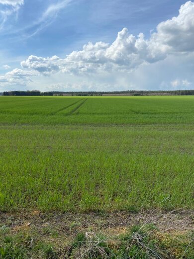 Landwirtschaftliche Fläche zum Kauf 35.258 m² Tornau Stendal 39576