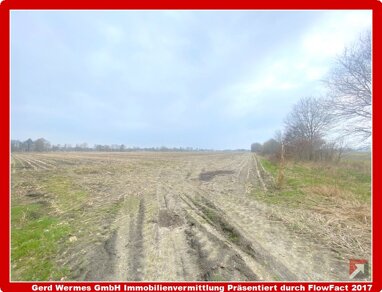 Land-/Forstwirtschaft zum Kauf 52.190 m² Grundstück Burlage Rhauderfehn 26817