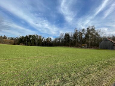 Land-/Forstwirtschaft zum Kauf 250.000 € 12.302 m² Grundstück Teunz Teunz 92552