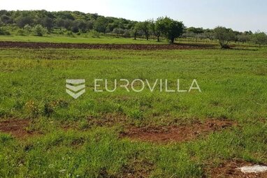 Land-/Forstwirtschaft zum Kauf 40.000 € Rovinjsko Selo 52210