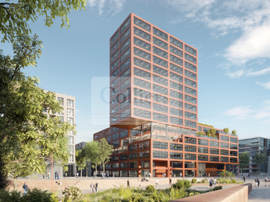 Bürogebäude zur Miete 492 m² Bürofläche teilbar ab 492 m² Steinwerder Hamburg 20457