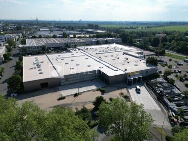 Halle/Industriefläche zur Miete Provisionsfrei 2.643 m² Lagerfläche teilbar ab 2.718 m² Innenstadt Frechen 50226