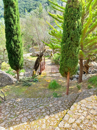 Einfamilienhaus zum Kauf 299.000 € 3 Zimmer 40 m² 20.220 m² Grundstück Soller Sòller 07100