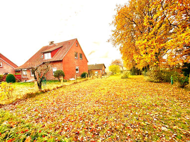 Haus zum Kauf 239.000 € 6 Zimmer 142 m² 1.250 m² Grundstück Römstedt Römstedt 29591