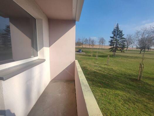 Wohnung zur Miete 314 € 2 Zimmer 50,5 m² EG Karl-Liebknecht-Straße 59 Sangerhausen 06526