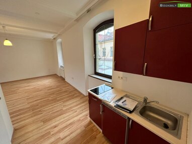 Wohnung zur Miete 287 € 1 Zimmer 38,3 m² Leoben 8700