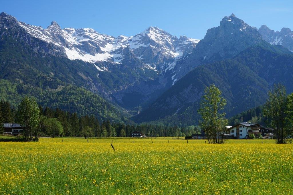 Grundstück zum Kauf 1.180.000 € 1.000 m² Grundstück St. Johann in Tirol 6380