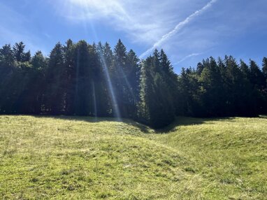 Land-/Forstwirtschaft zum Kauf 62.000 € 15.540 m² Grundstück Forst Oberstaufen 87534