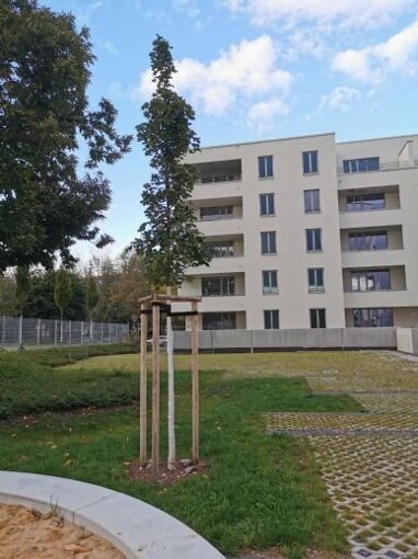Wohnung zur Miete 1.040 € 3 Zimmer 87 m² 1. Geschoss frei ab sofort Blumenstraße 18a Andreasvorstadt Erfurt 99092