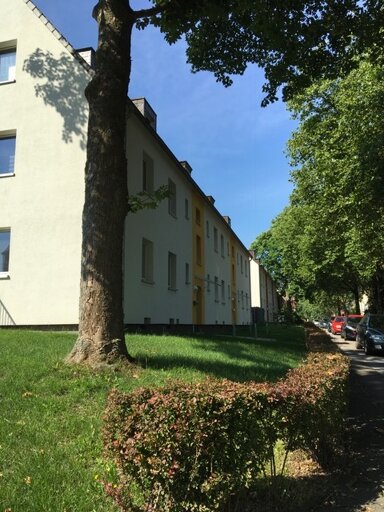 Wohnung zur Miete 569 € 3 Zimmer 56,5 m² EG frei ab 28.03.2025 Hörder Kampweg 40 Benninghofen Dortmund 44269