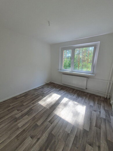 Wohnung zur Miete 528 € 3 Zimmer 66 m² 1. Geschoss frei ab 01.03.2025 Pilzheide 14 Walddrehna Walddrehna 15926