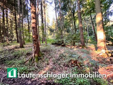 Land-/Forstwirtschaft zum Kauf 42.000 € 8.760 m² Grundstück Ottosau Neumarkt in der Oberpfalz / Schafhof 92318