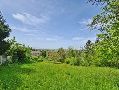 Grundstück zum Kauf 1.300.000 € 4.308 m² Grundstück Gemeinde Hörbranz 6912