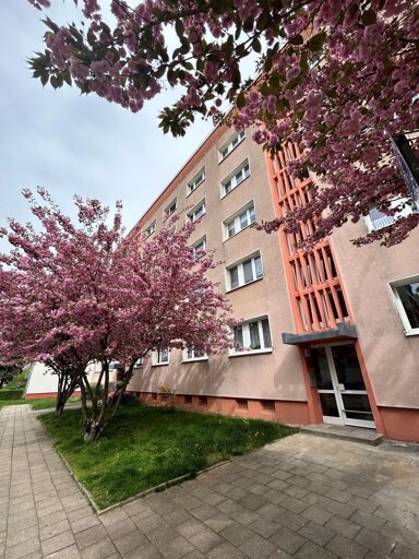 Wohnung zur Miete 545 € 3 Zimmer 62,5 m² 1. Geschoss frei ab 01.02.2025 Linzer Straße 45 Süd 42 Dessau-Roßlau 06849