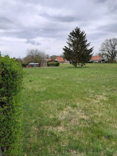 Grundstück zum Kauf provisionsfrei 55.900 € 1.034 m² Grundstück Dahme Dahme/Mark 15936