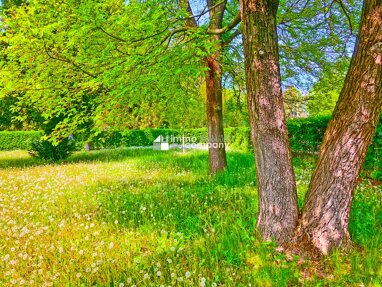 Mehrfamilienhaus zum Kauf 649.000 € 9 Zimmer 1.773 m² Grundstück Theresienfeld 2604