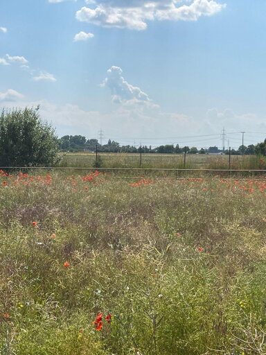 Grundstück zum Kauf provisionsfrei 493 m² Grundstück Hördt 76771