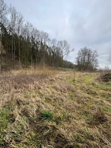 Land-/Forstwirtschaft zum Kauf 107.000 € 4.350 m² Grundstück Rauenzell Herrieden / Rauenzell 91567