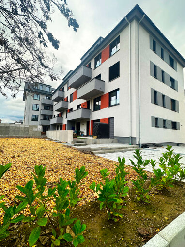 Wohnung zum Kauf Provisionsfrei 539.000 € 4 Zimmer 121,4 m² 2. Geschoss Kupfertorstraße 42 Breisach Breisach am Rhein 79206