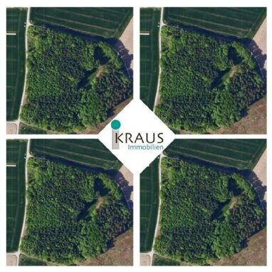 Land-/Forstwirtschaft zum Kauf 505.630 € 50.563 m² Grundstück Künzing Künzing 94550