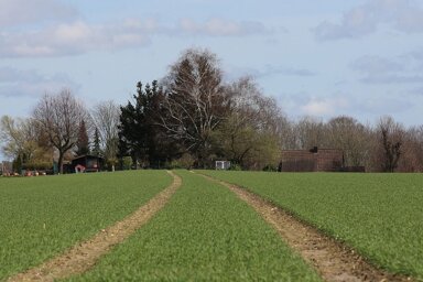 Grundstück zum Kauf 6.000 m² Grundstück Saarburg Saarburg 54439