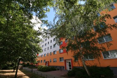 Wohnung zur Miete 294 € 2 Zimmer 48,9 m² EG Straße der Völkerfreundschaft 120 Friedrichstadt Lutherstadt Wittenberg 06886