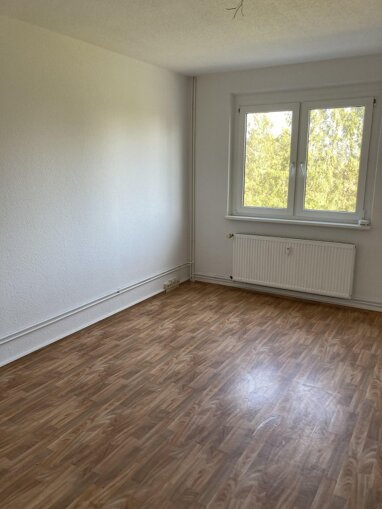 Wohnung zur Miete 160,80 € 1 Zimmer 32,2 m² 3. Geschoss Hauptstr. 45 Ducherow Ducherow 17398