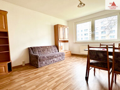 Wohnung zur Miete 225,12 € 2 Zimmer 40,9 m² Erdgeschoss Barbara-Uthmann-Ring 42 Annaberg Annaberg-Buchholz 09456