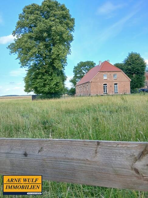 Immobilie in Leezen - "Bauernhof in traumhafter Alleinlage - Natur pur vor den Toren Schwerins" - Bild 4