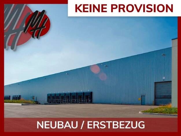 Lagerhalle zur Miete provisionsfrei 50.000 m² Lagerfläche teilbar ab 10.000 m² Waldsiedlung Altenstadt 63674
