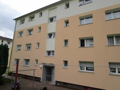 Wohnung zur Miete 447 € 1,5 Zimmer 43,8 m² frei ab 03.03.2025 Steigestr. 102 Eberbach Eberbach 69412