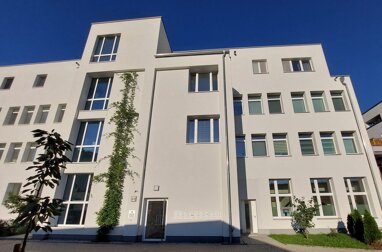 Wohnung zur Miete 1.250 € 4 Zimmer 147 m² Erdgeschoss Waldenburger Straße 69 Altendorf 927 Chemnitz 09116
