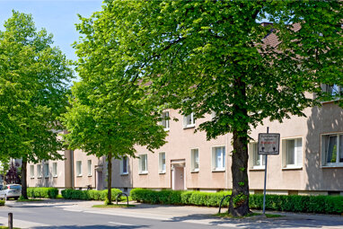 Wohnung zur Miete 369 € 2 Zimmer 53,8 m² Erdgeschoss Hegestraße 18 Alt - Rentfort Gladbeck 45966