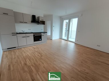 Wohnung zur Miete 445,72 € 2 Zimmer 43 m² 2. Geschoss Doktor-Wilhelm-Steingötter-Straße 25 Viehofen St. Pölten 3100