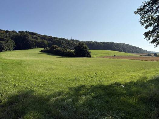 Land-/Forstwirtschaft zum Kauf 170.000 € 26.100 m² Grundstück Zusmarshausen 86441