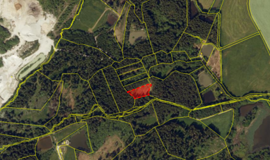 Land-/Forstwirtschaft zum Kauf 1.700 € 1.700 m² Grundstück Tröstau Tröstau 95709