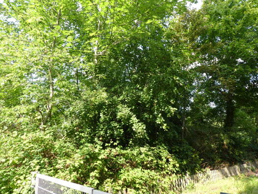 Grundstück zum Kauf 750.000 € 1.098 m² Grundstück Groß Glienicke Potsdam 14476