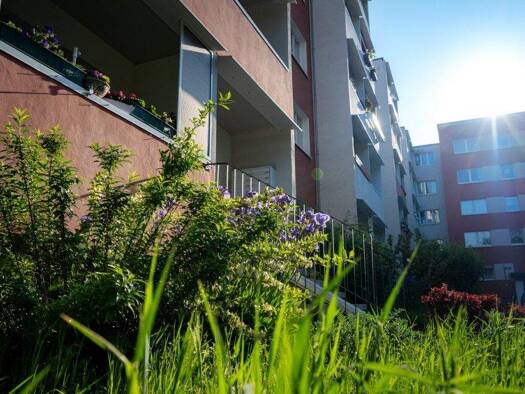 Wohnung zur Miete 330 € 3 Zimmer 57,3 m² 4. Geschoss Fuhneweg 13 Nördliche Neustadt Halle (Saale) 06122