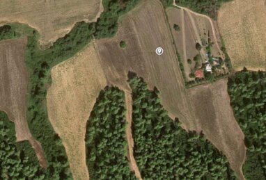 Land-/Forstwirtschaft zum Kauf 200.000 € 12.000 m² Grundstück Chalkidiki