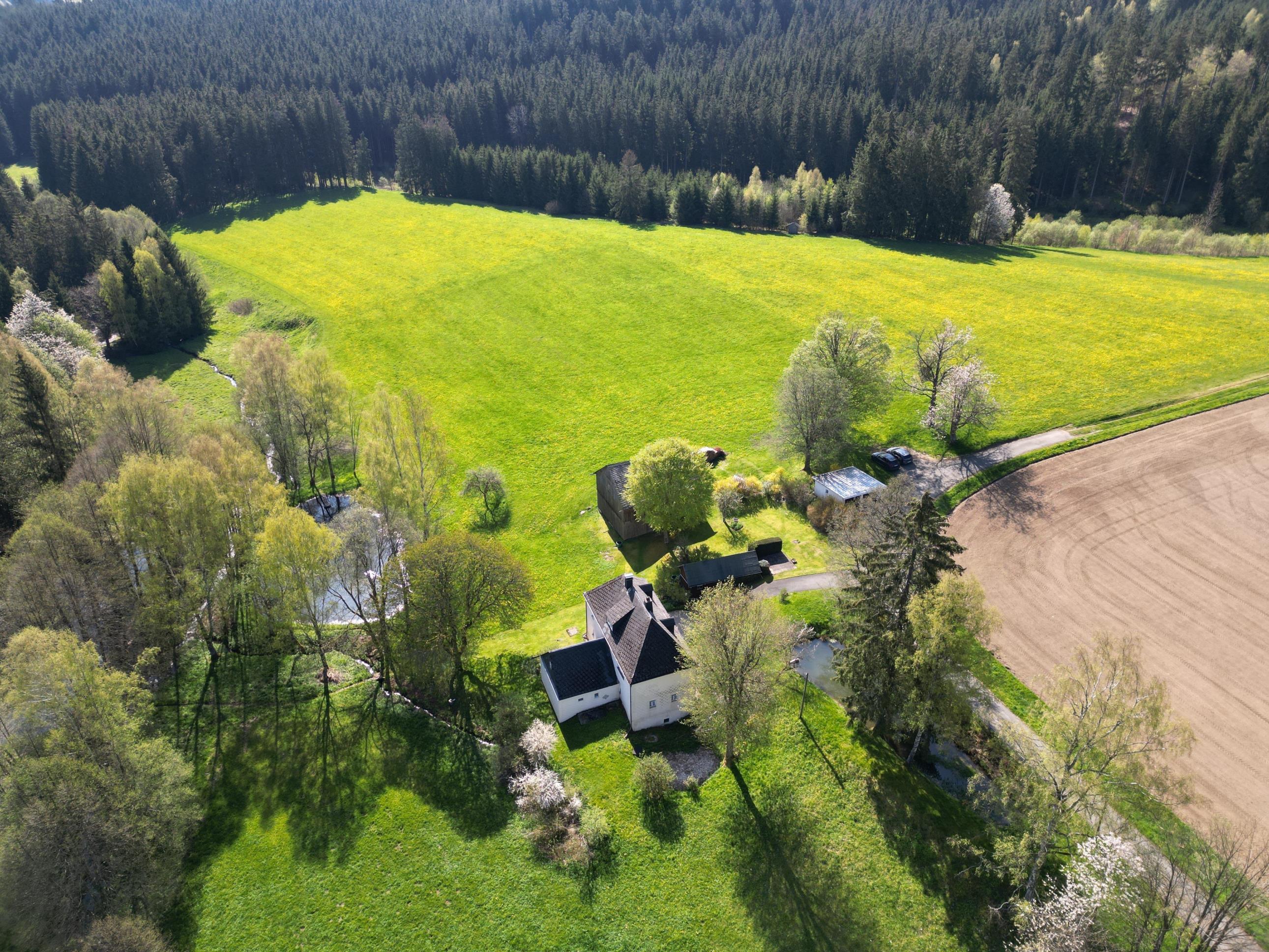 Bauernhaus zum Kauf 490.000 € 6 Zimmer 120 m²<br/>Wohnfläche 34.431 m²<br/>Grundstück Lippertsgrün Naila 95119