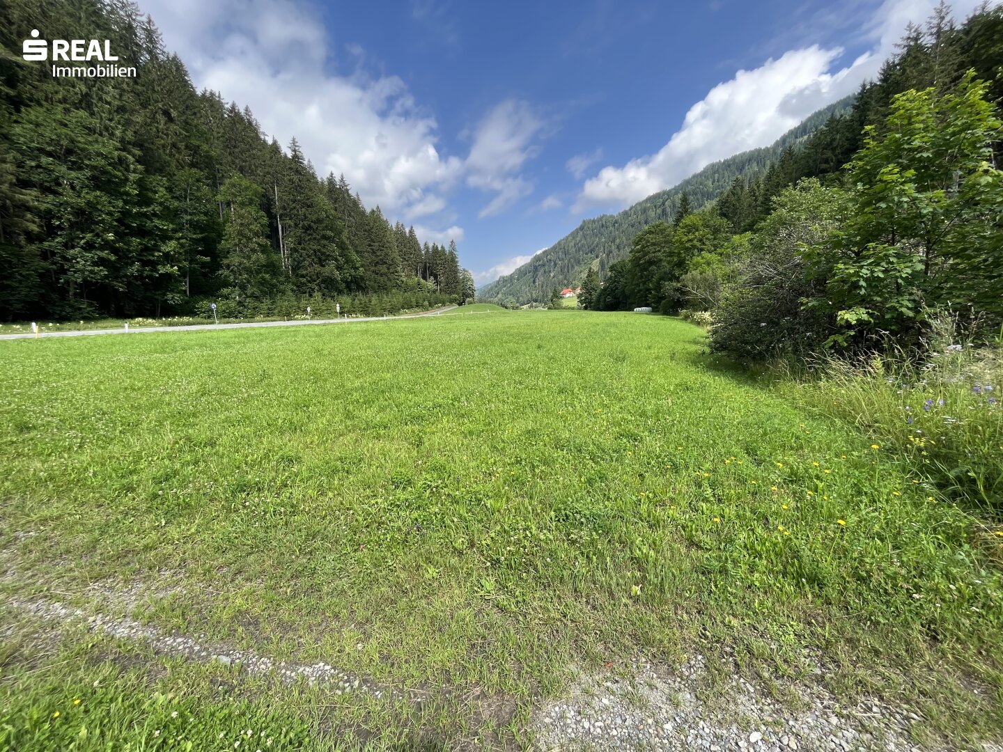 Land-/Forstwirtschaft zum Kauf 210.000 € 52.138 m²<br/>Grundstück Murau 8850