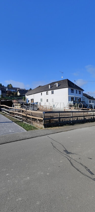 Bauernhaus zum Kauf 272.000 € 10 Zimmer 250 m² 37.956 m² Grundstück Berglicht 54426