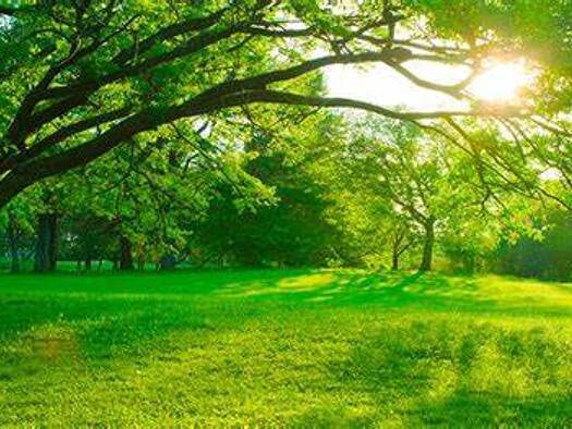 Grundstück zum Kauf 339.200 € 212 m² Grundstück Bergen-Enkheim Frankfurt am Main 60388