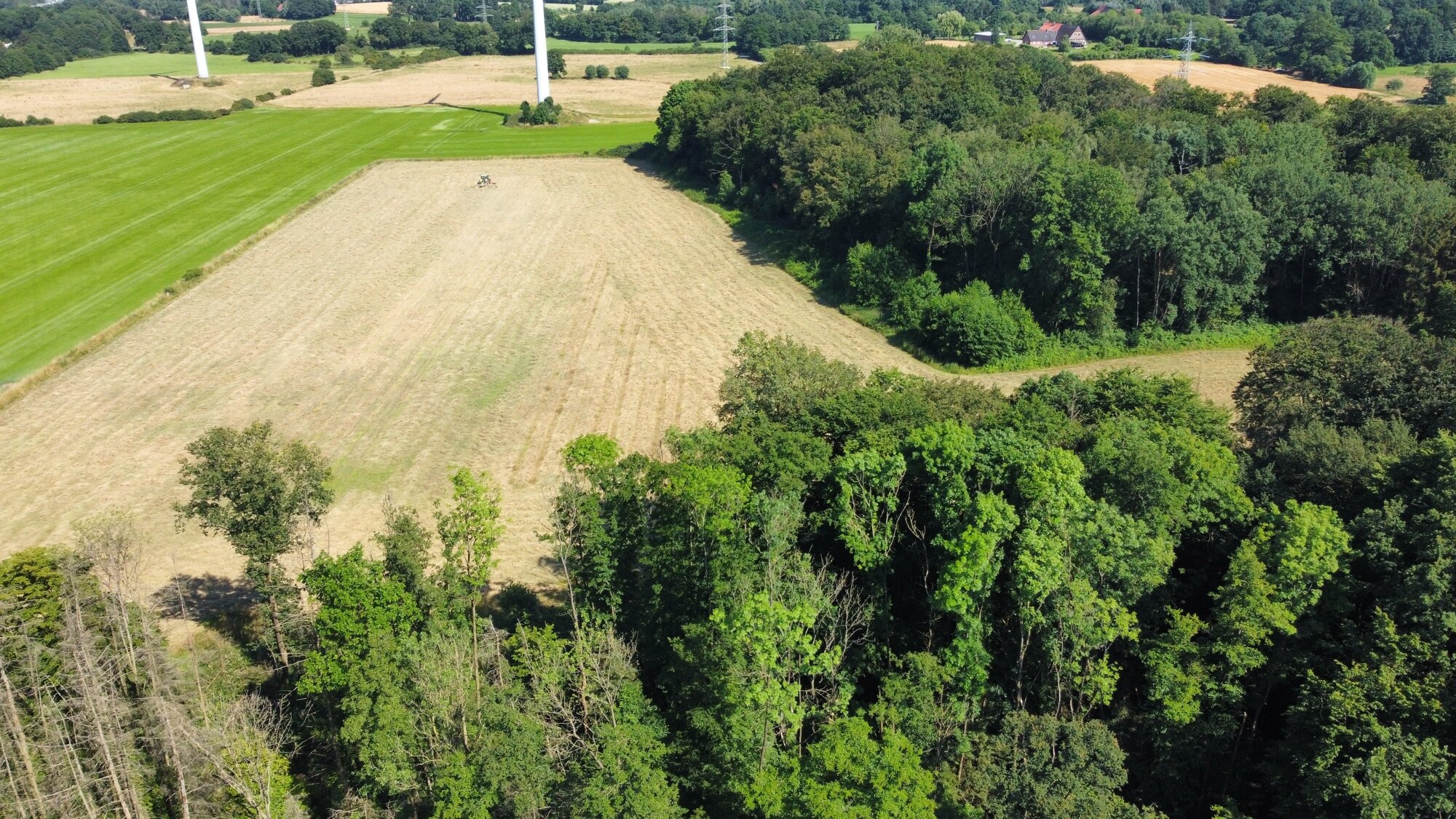 Land-/Forstwirtschaft zum Kauf 267.000 € 57.239 m²<br/>Grundstück Ledde Tecklenburg 49545