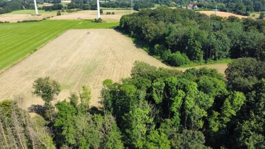 Land-/Forstwirtschaft zum Kauf 267.000 € 57.239 m² Grundstück Ledde Tecklenburg 49545